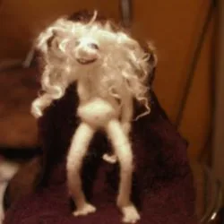 Kay Petal’s first needle-felted doll, inspired by Andrea Graham