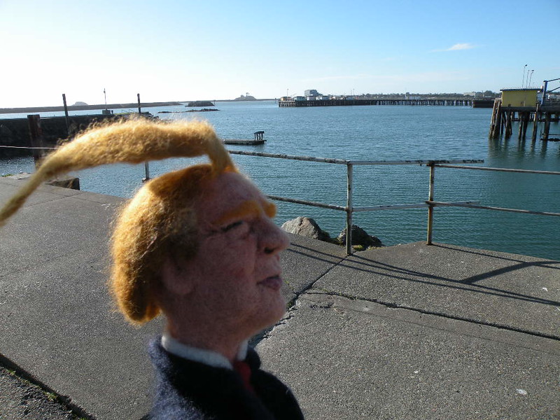 You’re Felted!